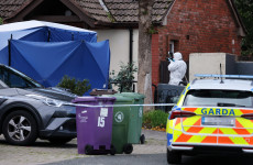 Investigation continues after bodies of man and woman found at house in Bray